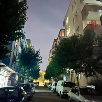 Bingöl Sokakta Aydınlatma Arızası Ve Güvenlik Endişeleri İçin Acil Müdahale Talebi