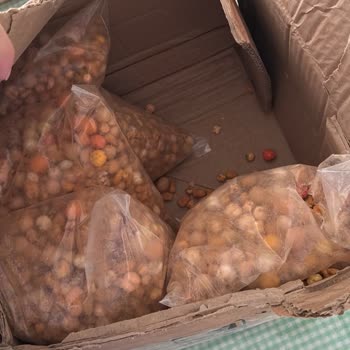Toptan Kuruyemiş Pazarı'ndan Eksik Ve Kalitesiz Çerez Gönderimi, Ücret İadesi Ve Kargo Sorumluluğu Talepleri