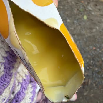Sütaş Muzlu Pudingde Siyah Küf Ve Yabancı Madde Şikayeti