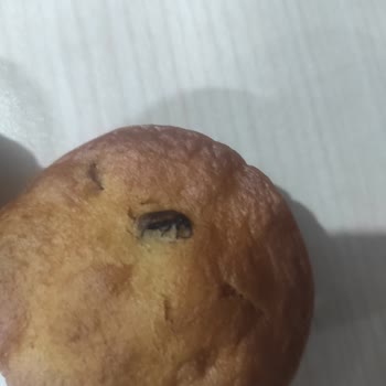 Torku Favorimo Muzlu Kekte Hijyen İhlali, Küf Ve Böcek