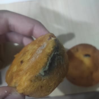 Torku Favorimo Muzlu Kekte Küf Ve Böcek Sorunu