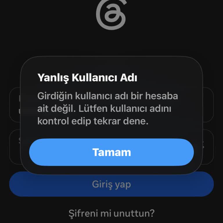 Threads Hesabına Girişte Kullanıcı Adı Hatası