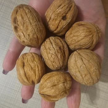 Kaptanın Ceviz Çiftliği'nden Yanıltıcı Görsellerle Gönderilen Kuru Cevizler İçin İade Talebi