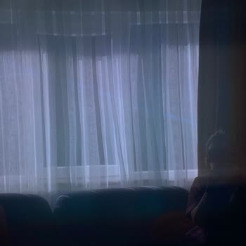 Mavi Çizgili TCL 65C7L Mini LED Televizyonun Arızası: Değişim Ya Da Ücret İadesi Talebi