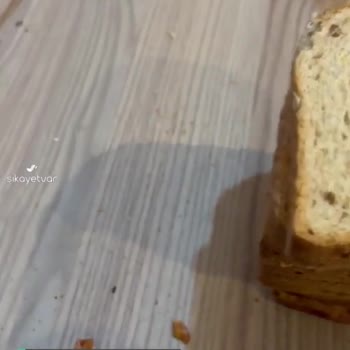 UNO Çok Tahıllı Ekmekten Böcek Çıktı!