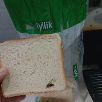 Migros İyilik Tost Ekmeği Diliminde Böcek Tespiti Sağlık Endişesi