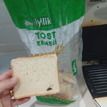 Migros İyilik Tost Ekmeği Diliminde Böcek Tespiti Sağlık Endişesi