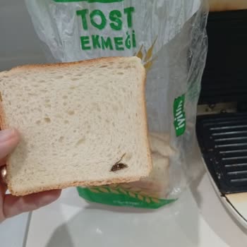 Migros İyilik Tost Ekmeği Diliminde Böcek Tespiti Sağlık Endişesi