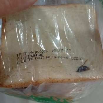 Migros İyilik Tost Ekmeği Diliminde Böcek Tespiti Sağlık Endişesi