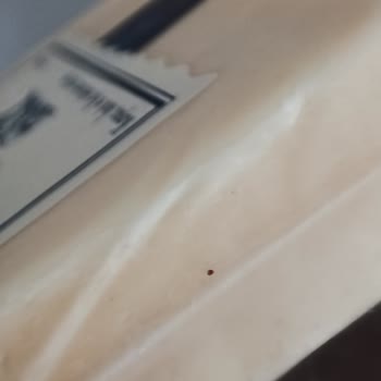 Antre Gourmet Tulum Peynirinde Yabancı Cisim Bulundu