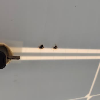 Teknik Solar'dan Yanmış Güneş Panelleri İçin Değişim Talebi