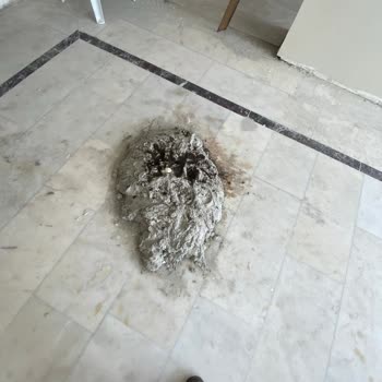 Anka Yapı Dekorasyon'dan Tadilat Sözleşmesi İhlali Ve Güvenlik Tehlikesi