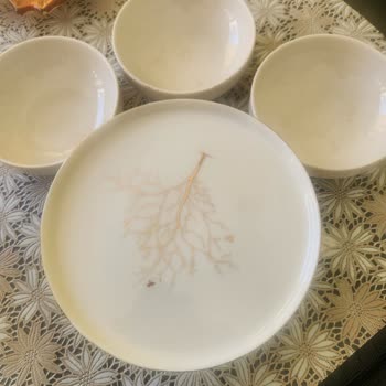 Kütahya Home Porselen Takımının Desen Silinmesi Ve Cevapsız İletişim