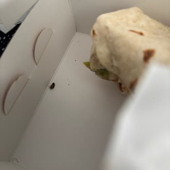 Uber Eats Sammy's Dürüm House’da Paket İçinde Ölü Böcek
