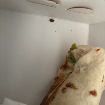 Uber Eats Sammy's Dürüm House’da Paket İçinde Ölü Böcek