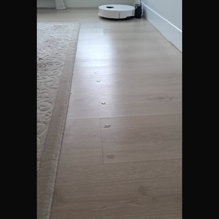 Garanti Kapsamındaki Roborock Robot Süpürge Parçasının Ücretli Değişimi Ve Tasarım Hatası