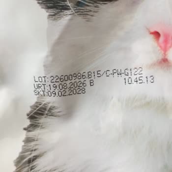 Hermos Gıda Paw Paw Adult Cat Food'tan Kaynaklanan Kedimde Sindirim Sorunu Şikayeti
