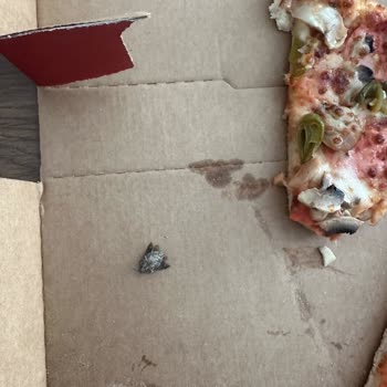 Trendyol GO Üzerinden Pizza Bulls Bomonti Şubesi Pizzasında Ölü Böcek Ve Gıda Güvenliği İhlali