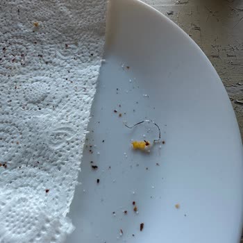 Dürümle Şubesinde Metal Tel Bulunan Dürüm, Hijyen Ve Sağlık Riski