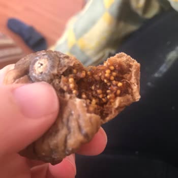 Niğde Bor Şok Marketinde Bozuk Amigo Kuru İncir Ve Saygısız Personel Davranışı