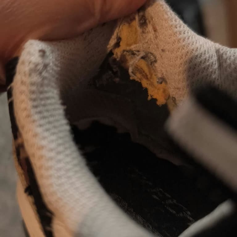 Skechers Ayakkabısında Erken Yırtılma Ve Epttavm'den Yardım Yok