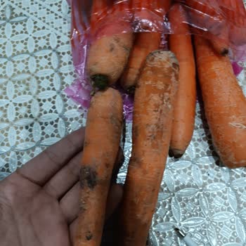 Migros Hemen Çürük Havuç İçin İade Talebi Ve Cevap Bekliyor