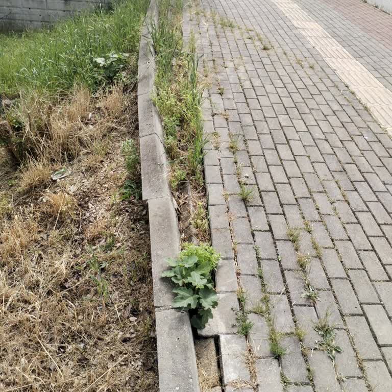 Bursa Büyükşehir Belediyesi Üçevler Mahallesi Kaldırımı Bozuk Yayalar İçin Ciddi Tehlike Oluşturuyor