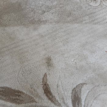 Diyarbakır Lüks Halı Yıkama’dan Yıkanmamış Halılar Ve Geri Dönüşte Sürekli Gecikme