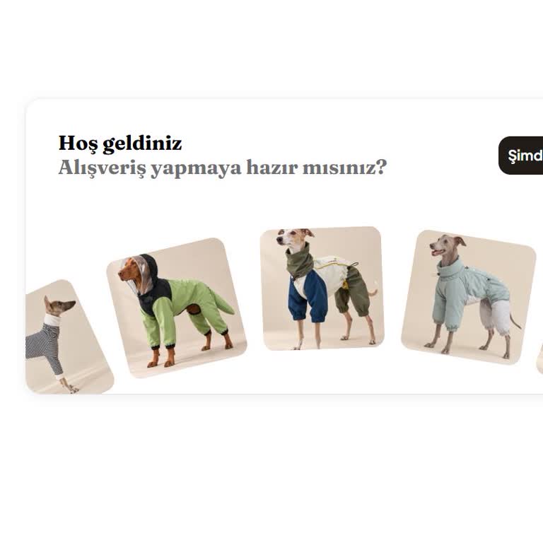 Sipariş Kayıt Dışı Ve Müşteri Hizmetinden Cevap Almıyor