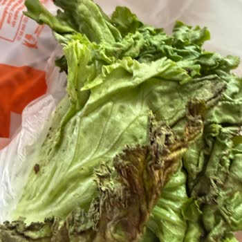 Migros Hemen'den Çürük Yeşillik Teslimatı