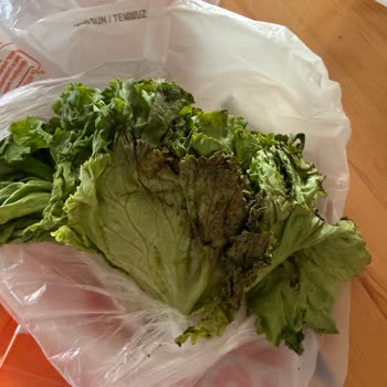 Migros Hemen'den Çürük Yeşillik Teslimatı