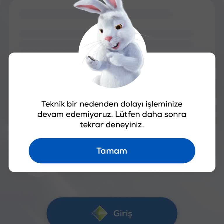 Telefon Bankacılığı Ve Mobil Uygulama Erişiminin Teknik Aksaklığı