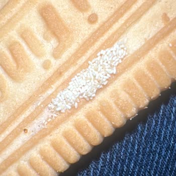 Eti Finger Bisküvisi Üzerinde Beyaz Böcek Benzeri Oluşumlar Ve Gıda Güvenliği Endişesi