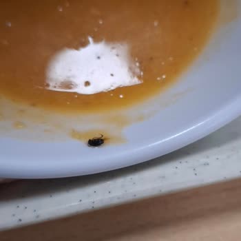 Sodexo'da Hijyen Krizi: Mercimek Çorbasında Canlı Böcek Görüldü