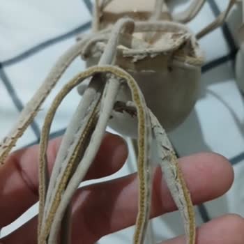 Gardrops’ta Alıcı Tarafından Ürün Değişimi Ve Satıcı Hakları İhlali