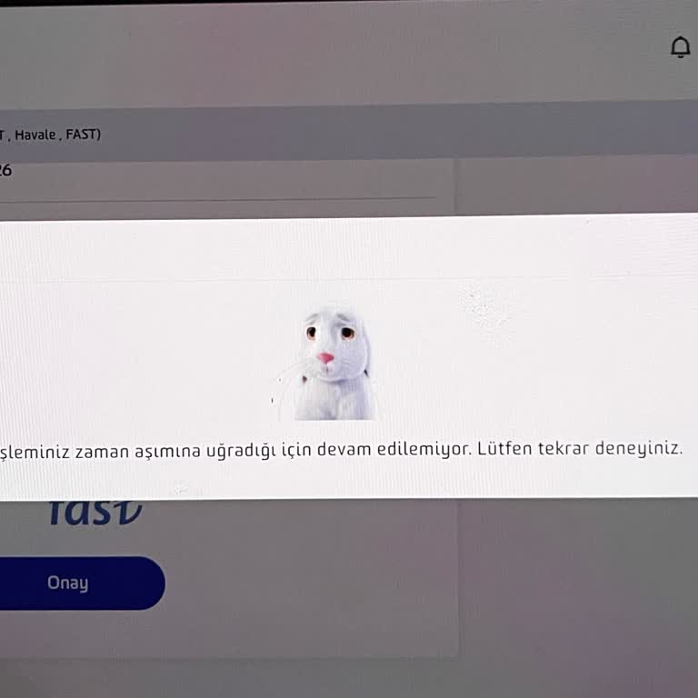 Fibabanka Mobil Ve İnternet Bankacılığında Para Transferi Sorunu Ve Müşteri Hizmetleri Yetersizliği