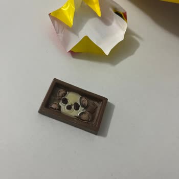 Migros'ta Satın Alınan Eti Petito Mini Çikolatalarında Görünüm Ve Tat Sorunu