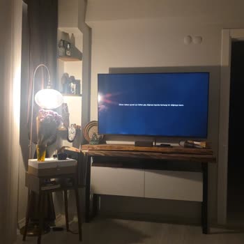 LG 55 Model Televizyonda Aşırı Panel Işık Sızması Ve Üst Model Değişim Talebi