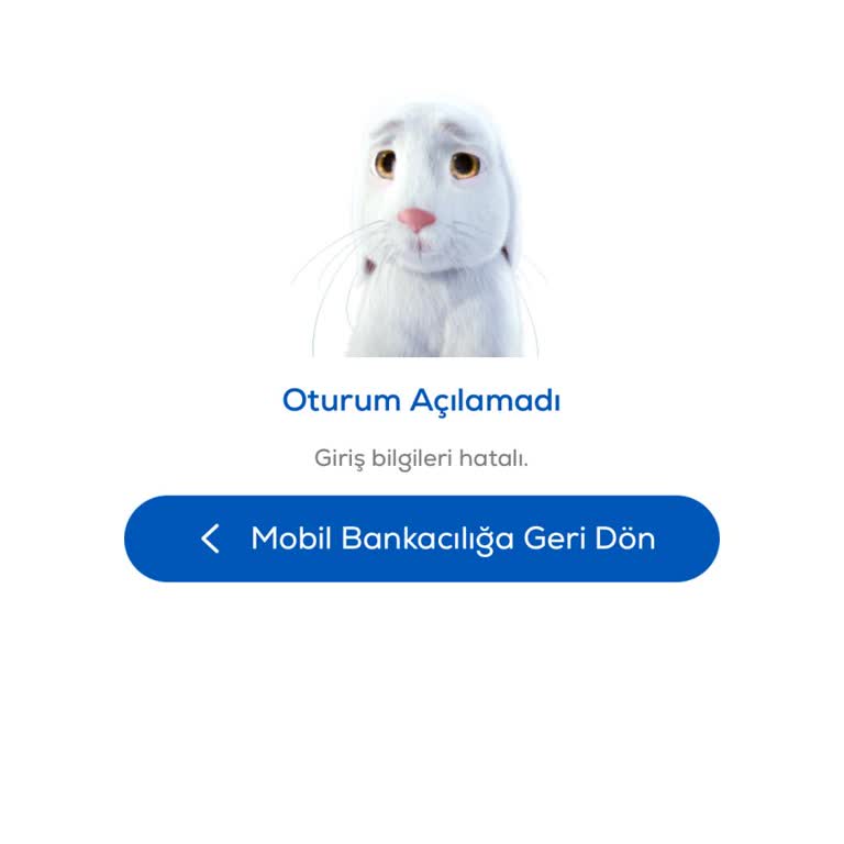 Fibabanka Mobil Bankacılık Uygulamasında Oturum Açma Hatası Ve TFX Erişim Sorunu