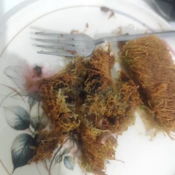 Fıstıklı Baklava İstedi, Cevizli Kadayıf Verildi, Sert Ceviz Kabuğu Dişimi Kırdı