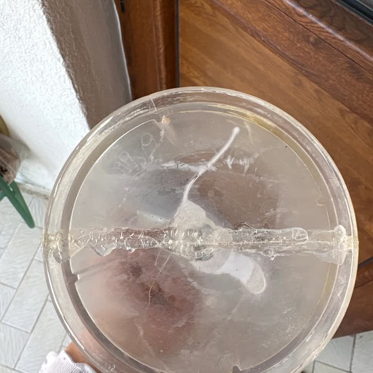 Sinbo 3106 Doğrayıcı Haznesi Çatladı Ve Kırıldı, Yedek Parça Talebi