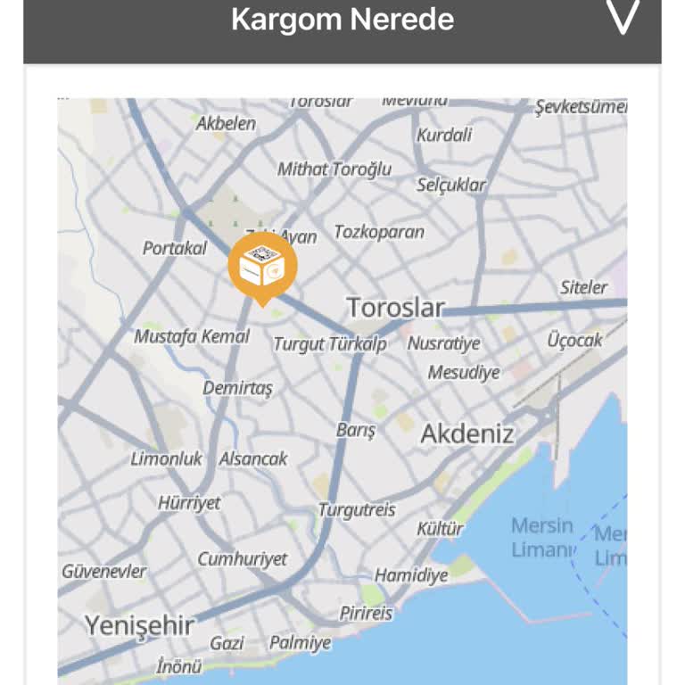 Birgündekargo Teslim Edilmedi, Acil Kargo Gecikmesi Ve İletişim Eksikliği
