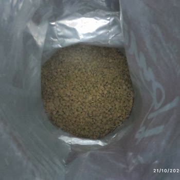 Homie Kırmızı Paketli Tavuklu Kedi Maması Tüketilememesi Ve Orijinallik Şüphesi