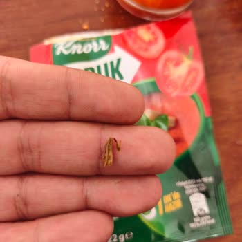 Knorr Çorbasında Yabancı Odun Parçası Sağlık Riski Oluşturdu