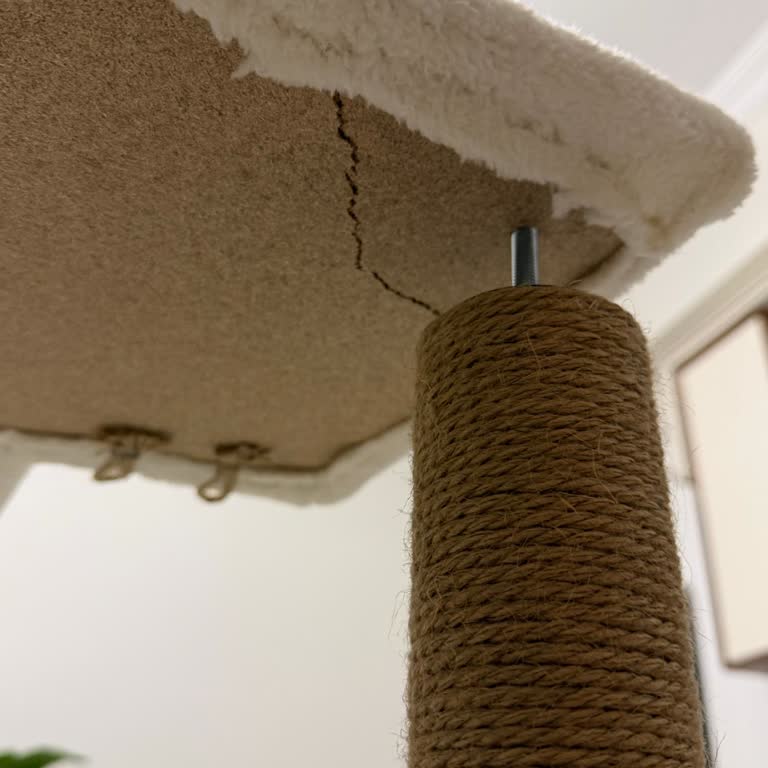 Kırık Kedi Tırmalama Tahtası İçin İade Süreci Sorunu ve Trendyol Müşteri Hizmetleri