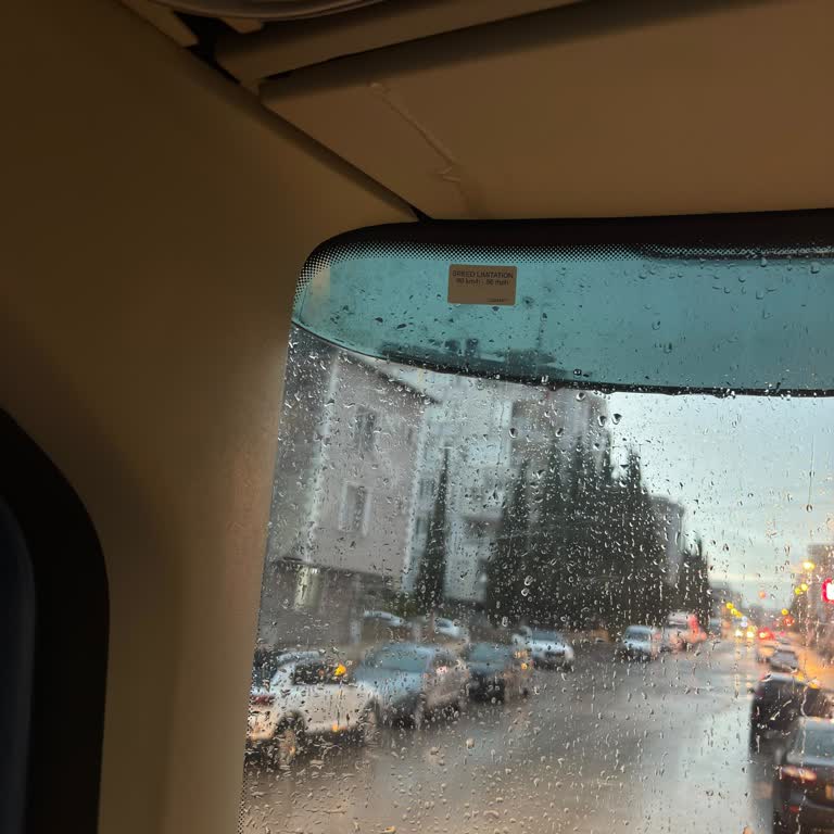 Volvo FH 540 Water Leak From Ceiling Near Windshield, Free Repair Request