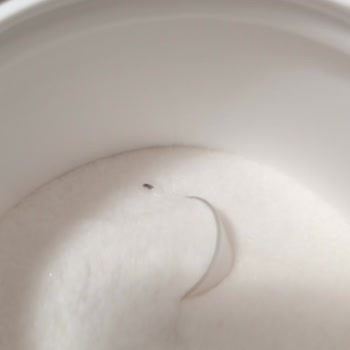 Beta Alanin Ve Arginin Ürünlerinde Yabancı Siyah Madde Bulunması Ve Geri Ödeme Talebi