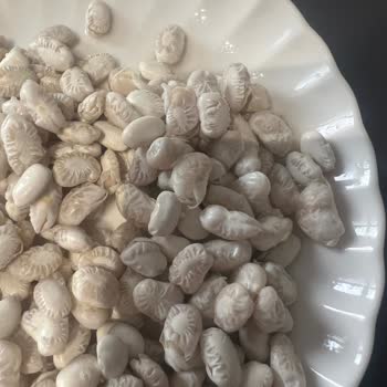 Duru Dermason Fasulyesinde Yanıltıcı Son Kullanma Tarihi Ve Erken Bozulma