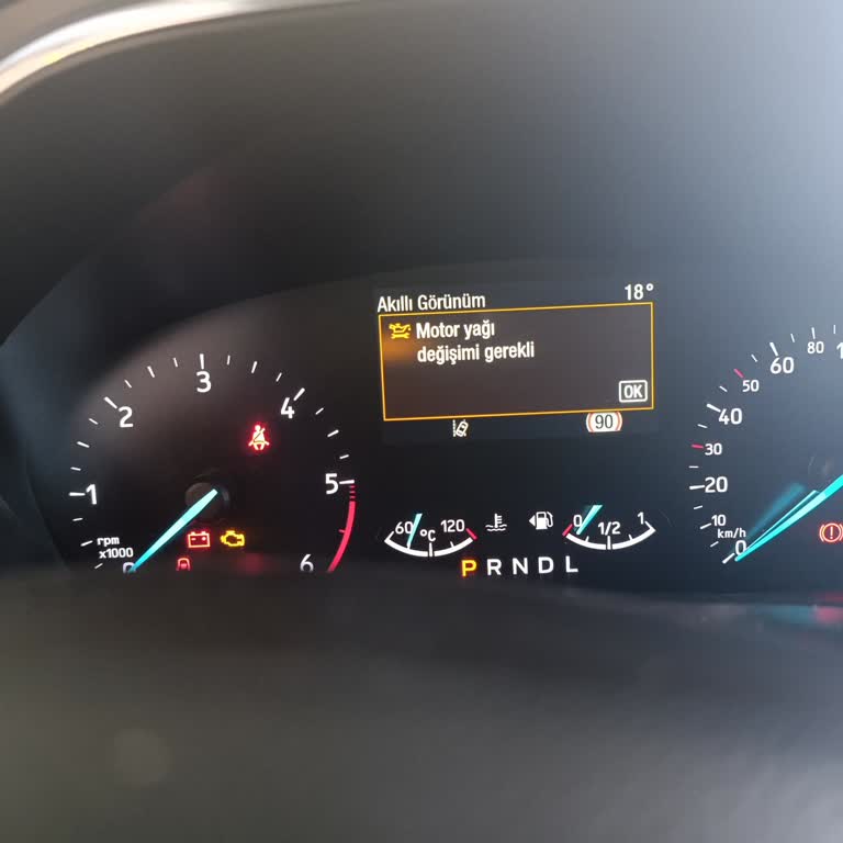 Ford Focus Araç Yağ Bozumu Ve Garanti Reddi