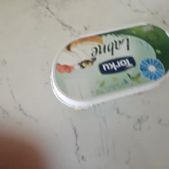 Torku Labne Peynirinde Küf Problemi Ve Sağlık Endişesi